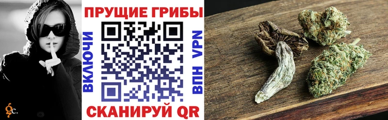 как найти   Кологрив  Галлюциногенные грибы мухоморы 